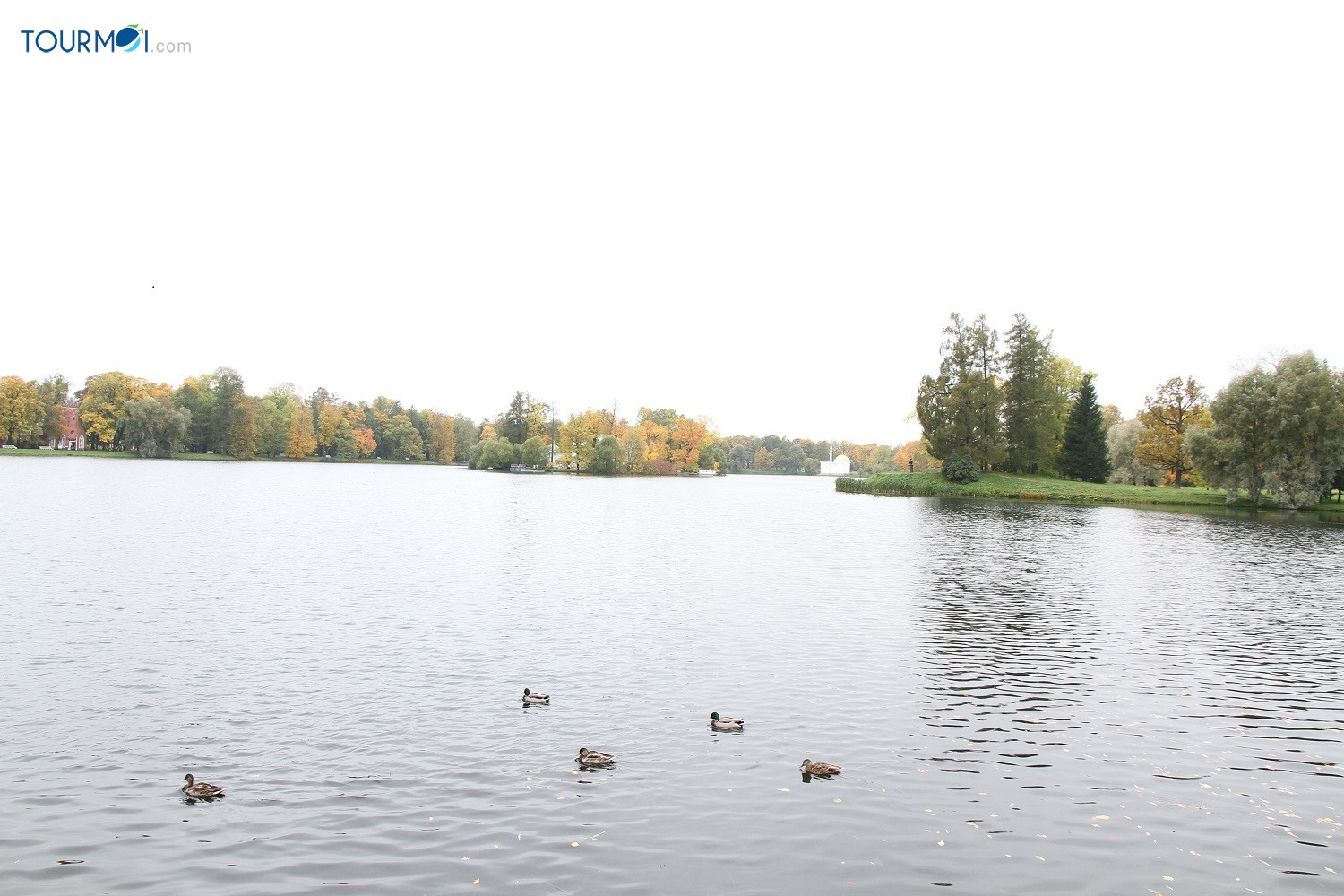 Vẻ đẹp quyến rũ mùa thu vàng nước Nga - Ảnh 7