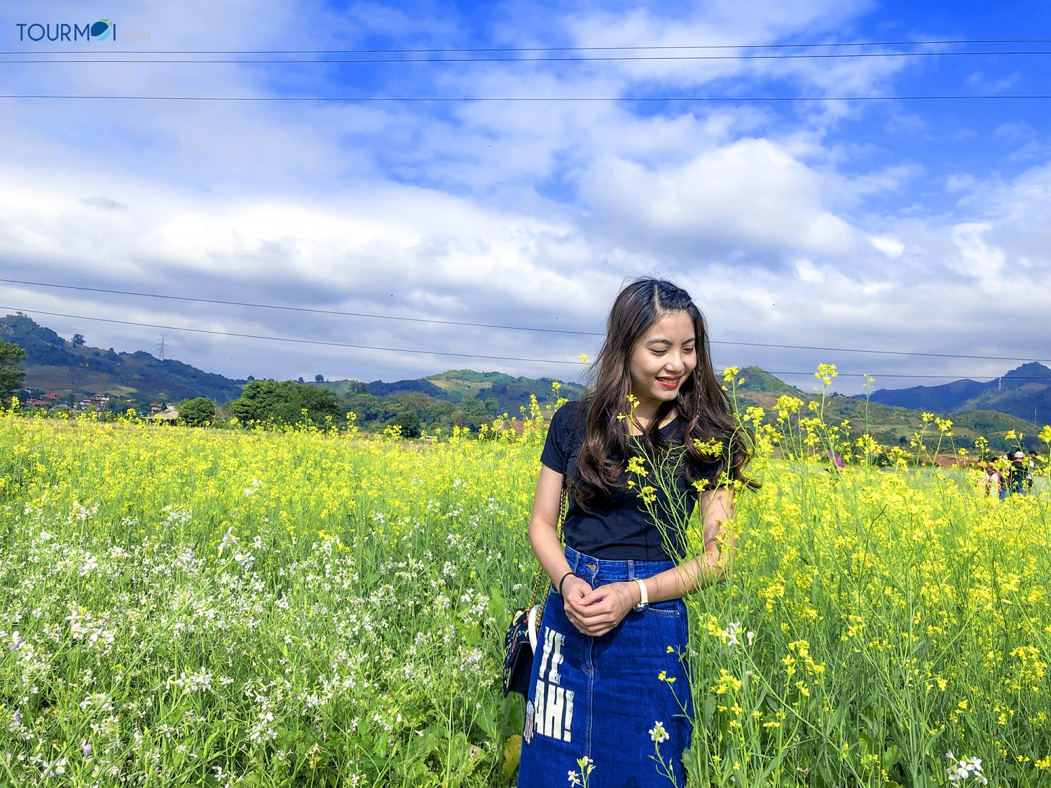 Vẻ đẹp những mùa hoa trên cao nguyên Mộc Châu - Ảnh 3