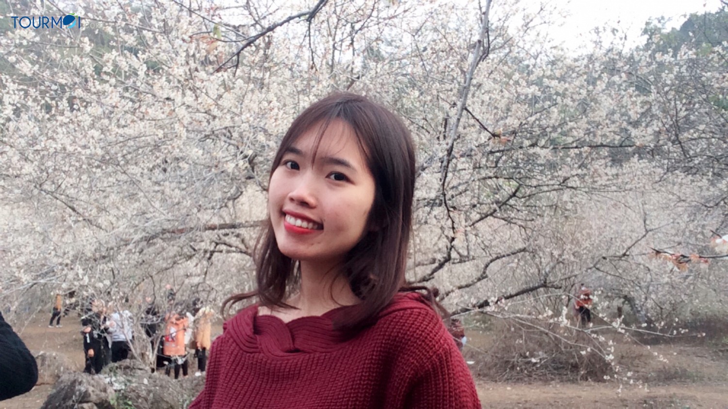 Vẻ đẹp những mùa hoa trên cao nguyên Mộc Châu - Ảnh 1